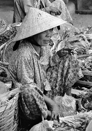 Vietnam 2005