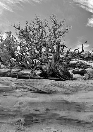 Utah-USA2013