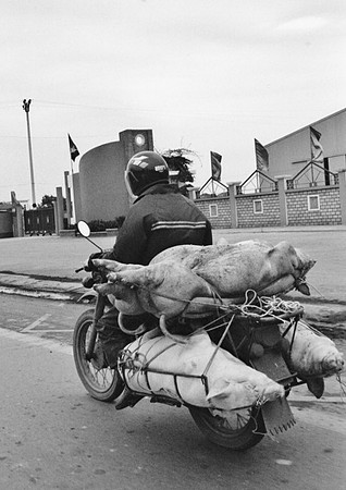 Vietnam 2005
