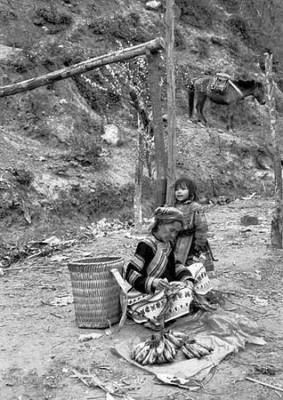 Image 15, Vietnam 2005