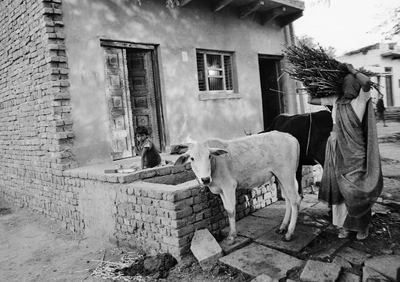 img006India2007 (650x460)