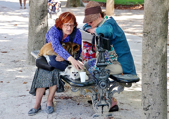 IMG_0562-Paris2013 (650x460)