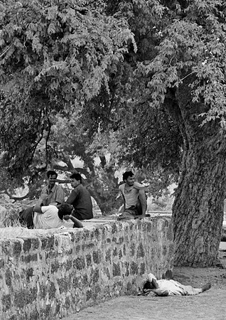 img079India2008 (459x650)